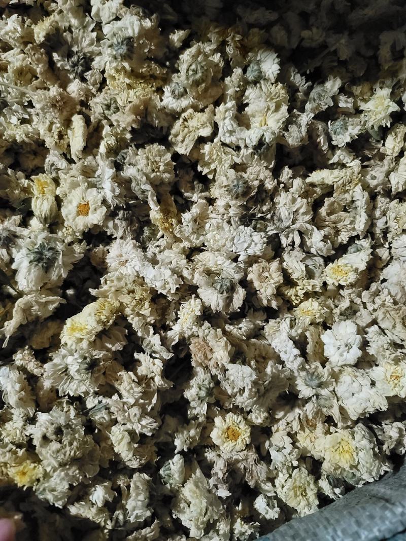 菊花茶批发最新趋势与市场分析